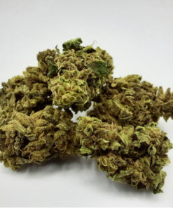 100517-003 Zoete Meloen EU Medium