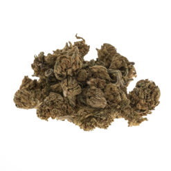 CBD gras hazelnoot baby buds_haufen_web