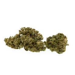 gras-cbd-premium-zoet-melon_web