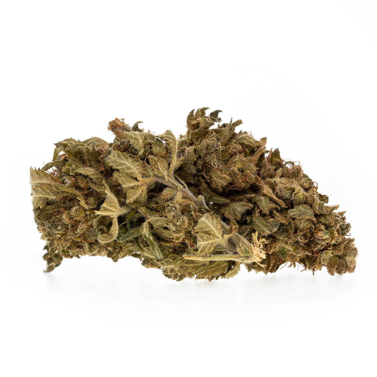 Gelato-1
