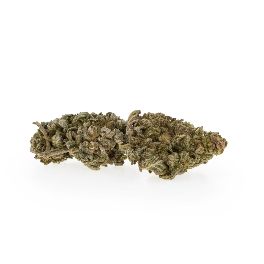 PremiumBlackBerry-1
