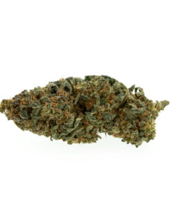 PremiumMangoKush-1