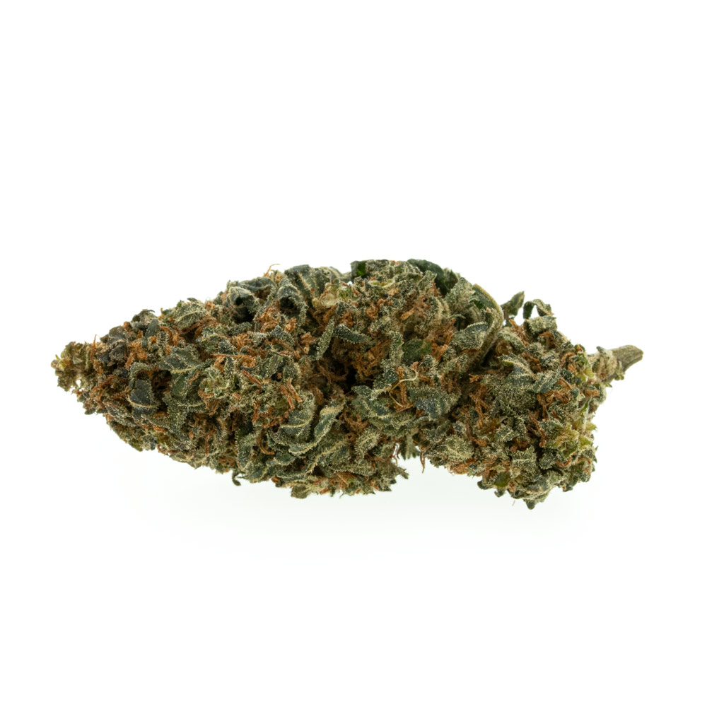 Premium Mango Kush