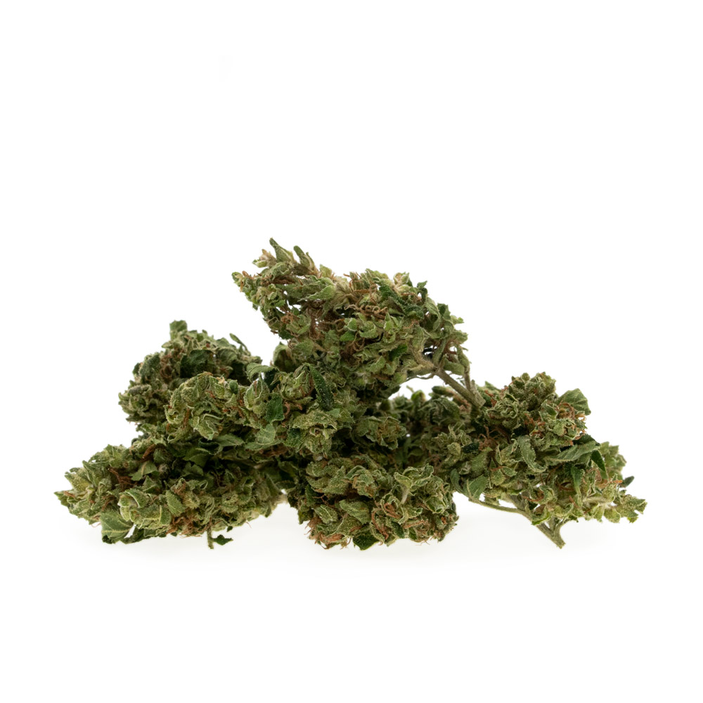 SweetAmnesia#36g-3