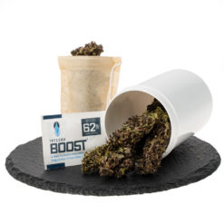 cbd-gras-zwart-domina-dose_web